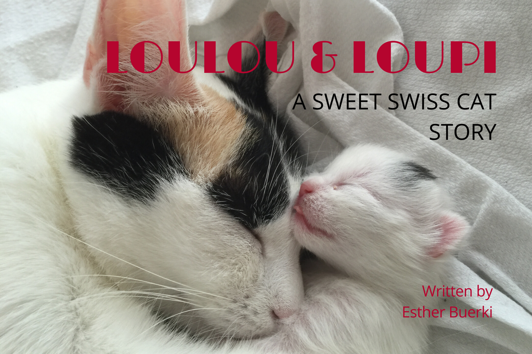Loulou & Loupi, written by Esther Buerki, published by SWISS MADE STORY